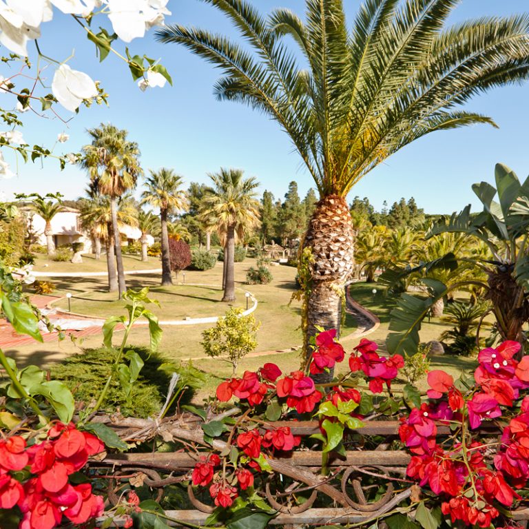 residence baia delle palme santa margherita pula sardegna il giardino interno
